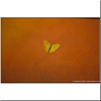 2017-04-17 U1 Candidplatz 09.jpg